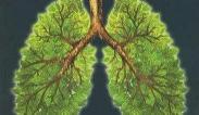 做肺结核检查要多少钱（肺结核检查）