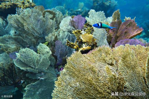 海澡泥多少錢一平米（裝修黑科技）