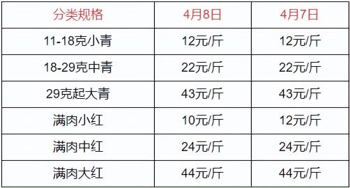 今天龙虾价格表（2022）