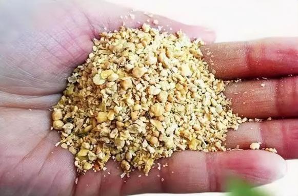 进口大豆价格最新行情（进口大豆成本仍居高不下）