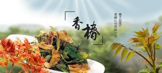 宜人益方一盒多少钱（深受古代皇上喜爱的它）