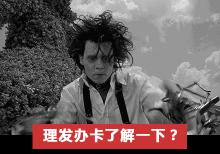 审美造型剪发多少钱（花360块剪头发）
