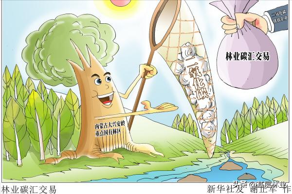 林业补贴多少钱一亩（农民获取林业碳汇收益的几种方式）