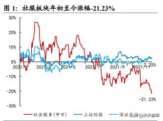 玫琳凯的手表值多少钱（社服行业研究及2022年投资策略）