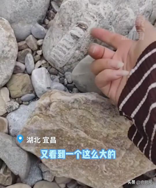奇石鉴定奇石价格（女孩在山谷捡到一块石头）