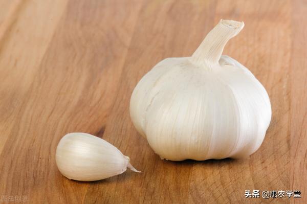 大蒜价格行情（大蒜目前多少钱一斤）
