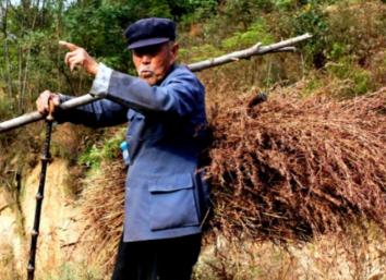化石价格（河南一老农）