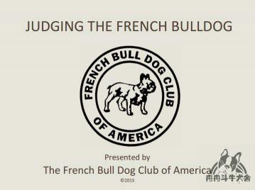 铁包金法牛多少钱（2015最新版本FBDCA法国斗牛犬犬种标准手册）