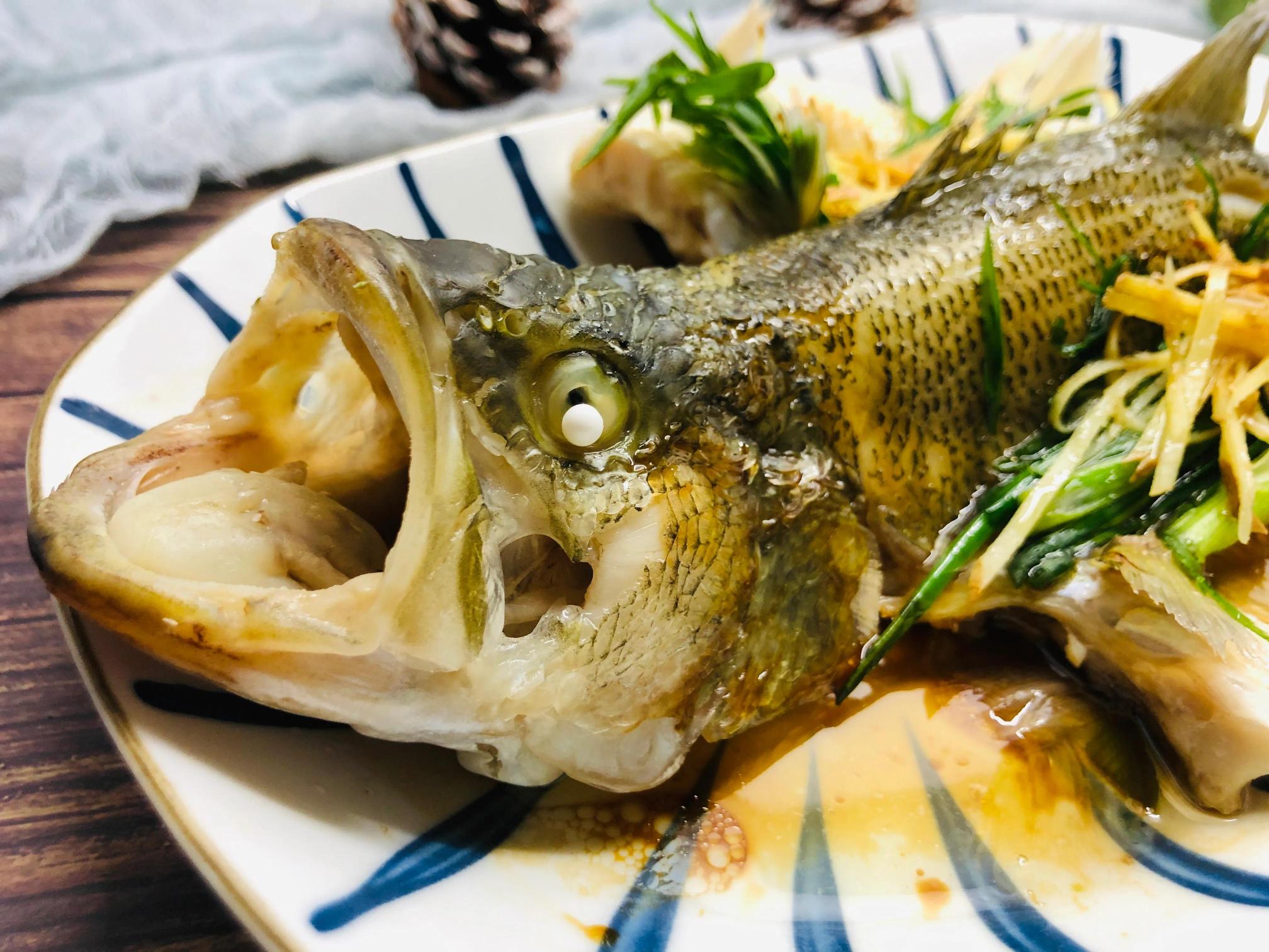 按摩鱼多少钱（除了鲈鱼）