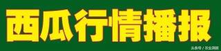 白城西瓜多少钱一斤（西瓜7月20号价格）