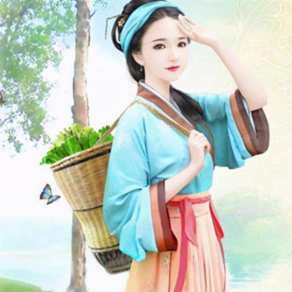 华佗回春丸多少钱一盒（种田文）