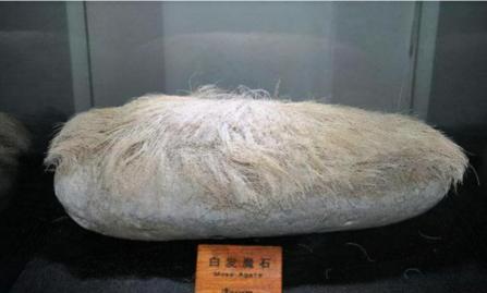 奇石鉴定奇石价格（辽宁男子花1）