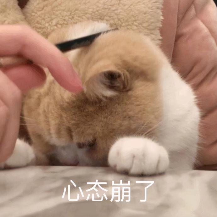 阻生智齿拔除价格（同样是拔智齿）