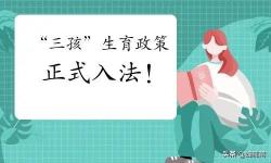 三胎上户口要罚多少钱（生三胎合法了）