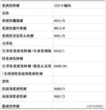 尿路造影检查多少钱（2018年版卵巢癌诊疗规范）