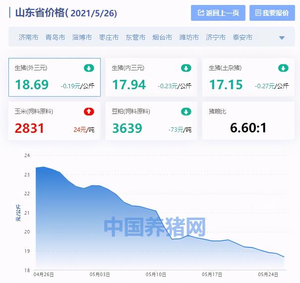 山东生猪价格（山东省生猪价格涨跌表）