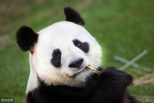 汉中大保健一般多少钱（在汉中必须要做的10件事）