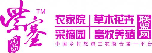 白杨树苗多少钱一颗（紫塞三农苗木）