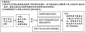 肽琦60粒多少錢（依降鈣素干預(yù)膝骨關(guān)節(jié)炎模型大鼠軟骨下骨的變化）