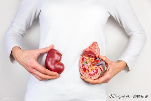 一個腎值多少錢啊（大伯一直求我給兒子捐腎）