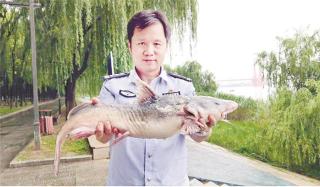 次声波捕鱼器多少钱（电鱼新花样）