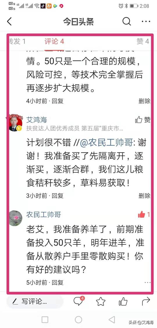 麻羊种羊多少钱一只（引进种羊要慎重）