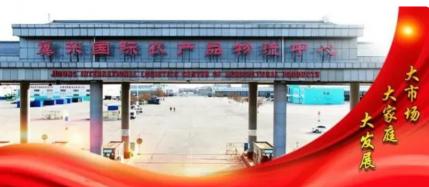 韭菜价格最新行情（河北乐亭）