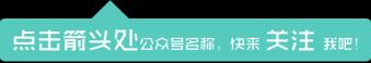 zero滑板多少钱（拍板惊奇）