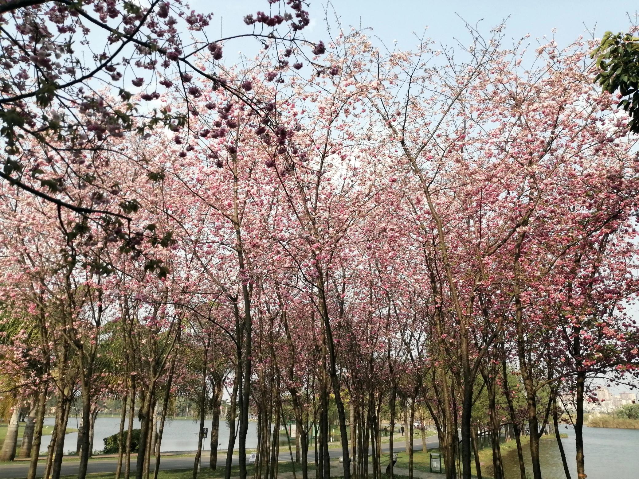 弥勒温泉一条龙多少钱（弥勒旅居34）