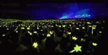 exo演唱会门票价格（韩国四大最贵演唱会门票）