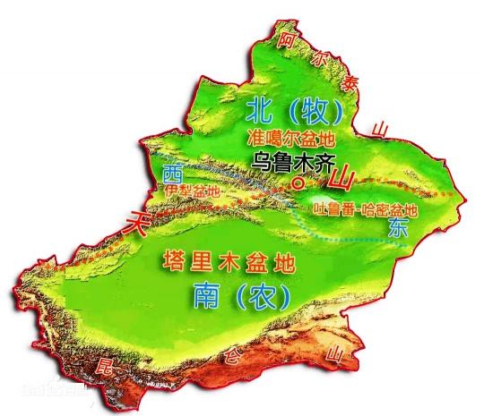 新疆摘葡萄一月多少钱（种梨20年的新疆大姐告诉你）