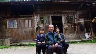 金丝楠木手串价格（老农金丝楠木屋估价8亿）