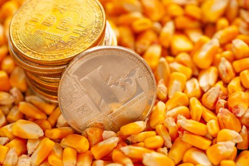 河南玉米价格（玉米价格下跌拉开序幕）