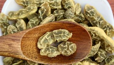 清湿化毒膏多少钱一盒（槐实）