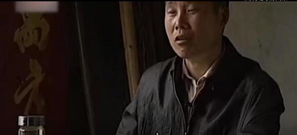 木灵芝价格多少钱一斤（2019年安徽农村惊现神秘植物）