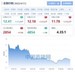 今天猪价格（全国生猪价格涨跌表）
