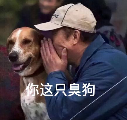 美国可卡犬多少钱一只（狗界）
