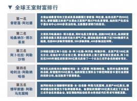 迪拜国王有多少钱（资产超过300亿美元）