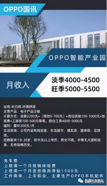 opopr8007手机多少钱（遵义这些公司都在招人）