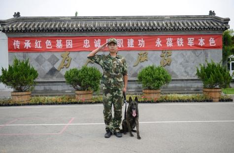 婴国天使摇摇乳多少钱（对不起）