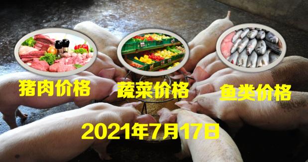 猪肉多少钱一斤2017年（全国生猪价格涨跌表）