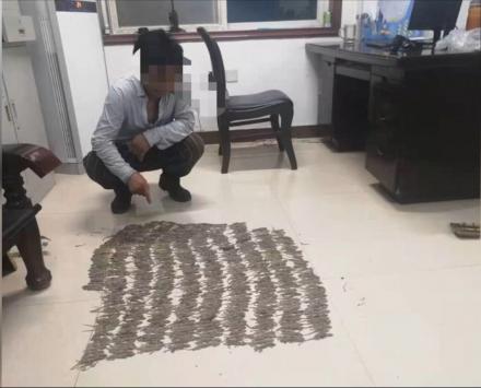 2016黄鼠狼多少钱一只（为母治病抓490只壁虎）