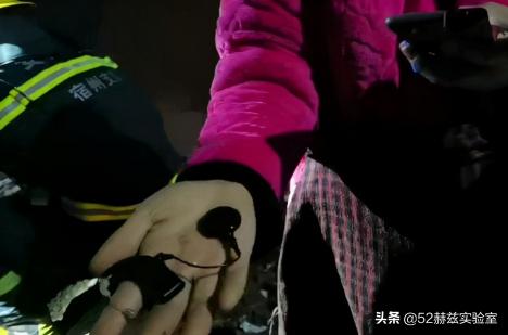 电子耳蜗价格（进口人工耳蜗要30万）