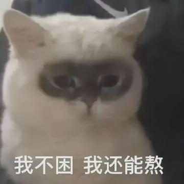 麦旋风多少钱2017（打卡作弊软件）