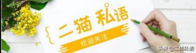 黄博美犬多少钱一只（博美犬俊俏可爱）