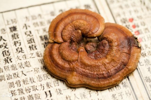 灵芝破壁孢子粉价格（怎样辨别破壁孢子粉的真伪）