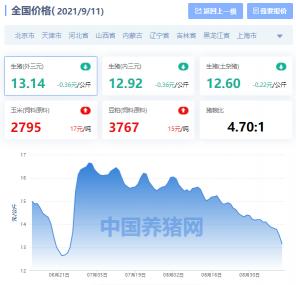 今天猪肉多少钱一斤（全国生猪价格涨跌表）