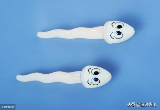 男人查精子大概多少钱（经历过的人都不愿提）