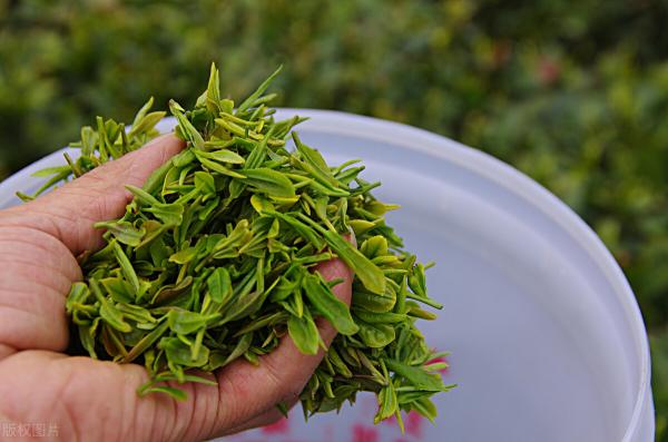 好茶叶一般一斤多少钱（2000元一斤的茶叶）