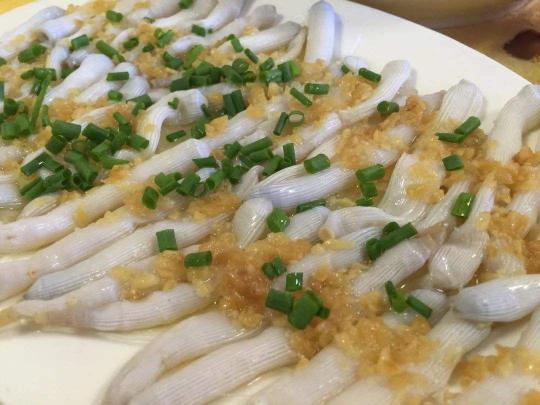沙虫干多少钱一斤2017（泥巴里有种虫子）